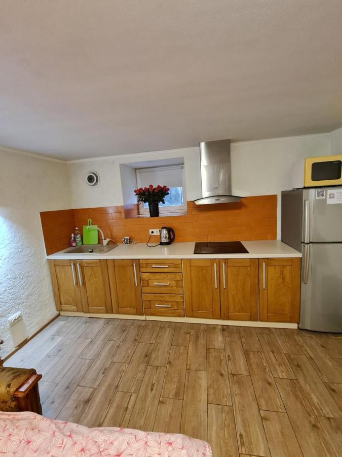 Студіо На Кoновальця Apartman Lviv Kültér fotó