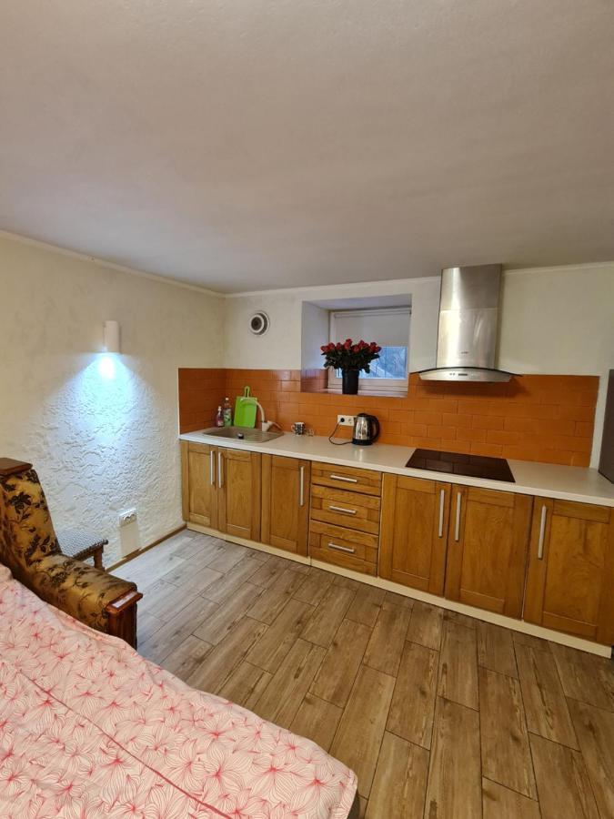 Студіо На Кoновальця Apartman Lviv Kültér fotó