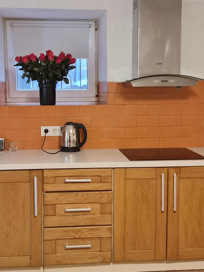 Студіо На Кoновальця Apartman Lviv Kültér fotó